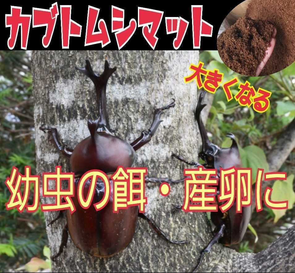 カブトムシ幼虫が丸々太ります！　改良版☆発酵マット　完全室内製造、新品菌床原料の為、雑虫が全く湧きません！　産卵にも抜群です_画像6