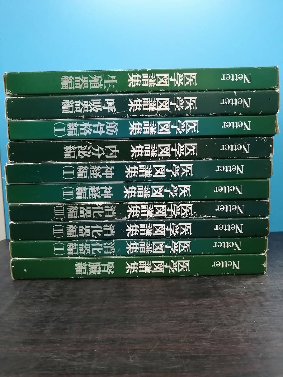 自■ ネッター 医学図譜集 10冊セットで 生殖器 呼吸器 筋骨格 内分泌 消化器 神経 腎臓 丸善 日本チバガイギー_画像1