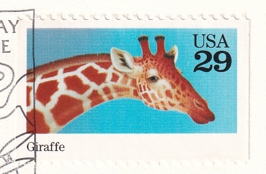 [FDC] world. animal : giraffe (1992 year )( America ) real .t3250
