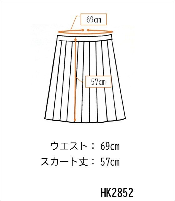 1円 スクールスカート 夏物 w69-丈57 チェック 埼玉栄高校 プリーツ 学生服 制服 女子 中古 HK2852