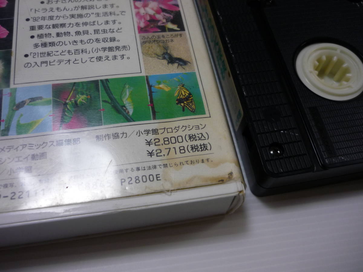 [管01]【送料無料】VHS ビデオ 21世紀こども百科ビデオ ドラえもん いきもの大探検 小学館 アニメ 大山のぶ代