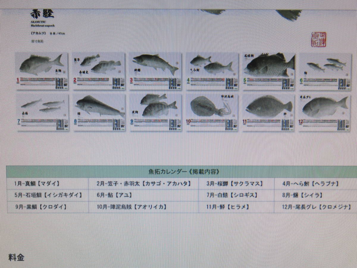 レア？！☆ シマノ2023年魚拓カレンダー未使用品 cuapwdcenco.org