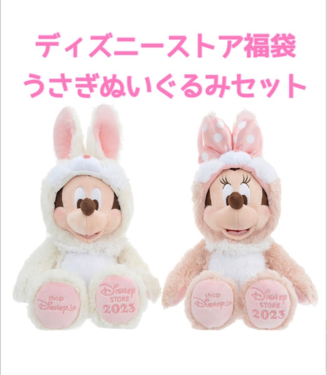 タグ付】ディズニーストア ラッキーバッグ(福袋)2023 ミッキー タグ付】ディズニーストア ラッキーバッグ(福袋)2023 ミッキー