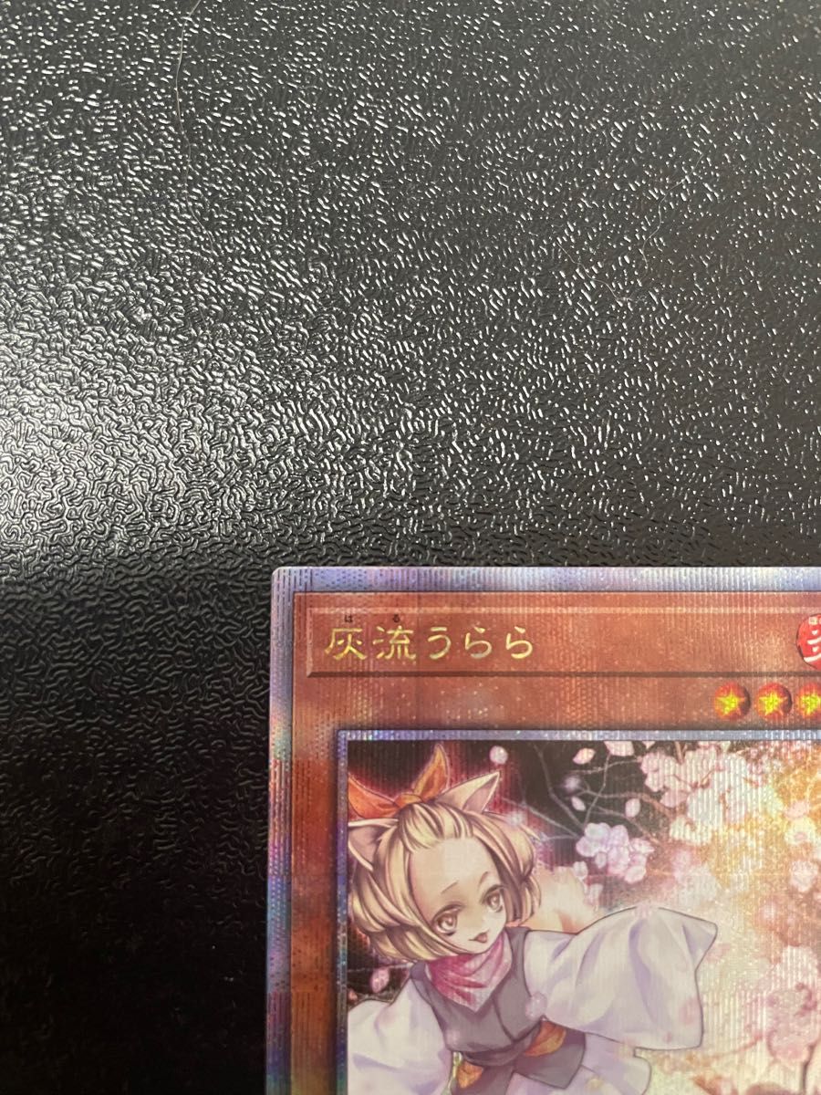 安心直販 灰流うらら 25thシークレット 遊戯王 - LITTLEHEROESDENTISTRY