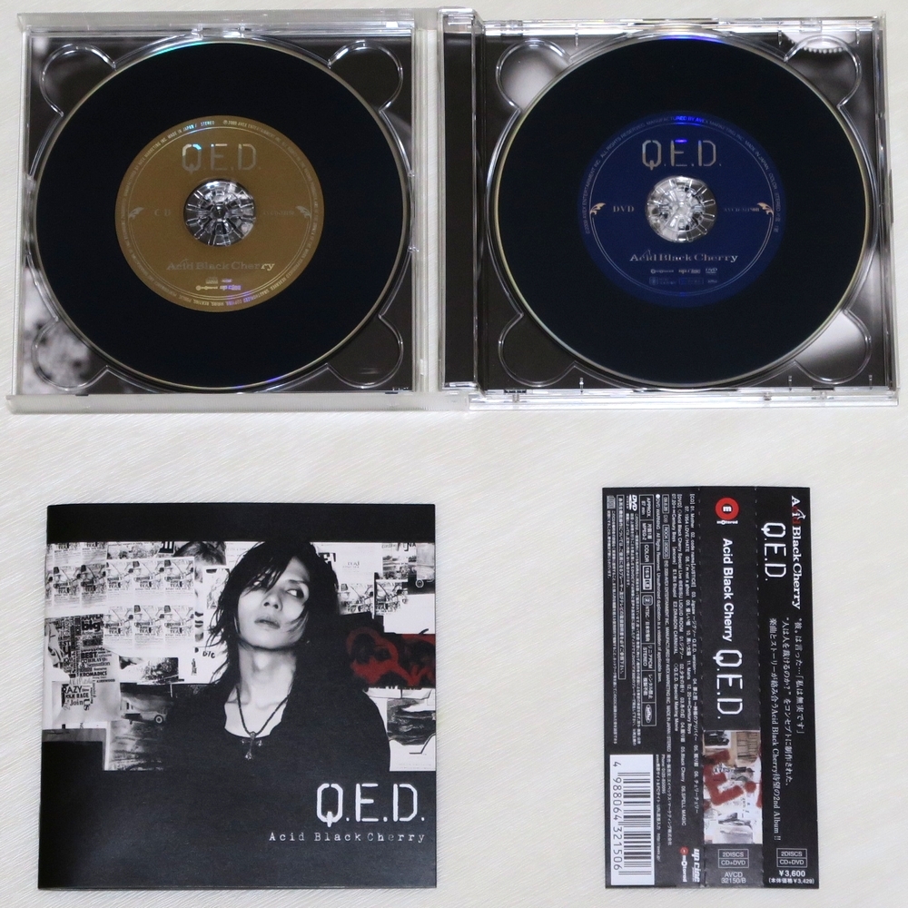 ☆ アシッド・ブラック・チェリー Acid Black Cherry Q.E.D. 初回限定 2枚組 CD + DVD ブックレット付き 帯付き AVCD-32150/B 新品同様 ☆_画像3