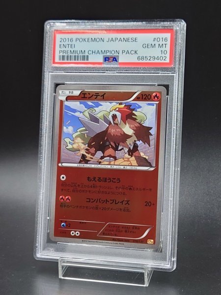エンテイ xy psa10 | www.jarussi.com.br