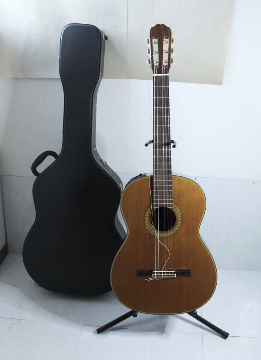 takamine エレガットギター PT-307 odmalihnogu.org
