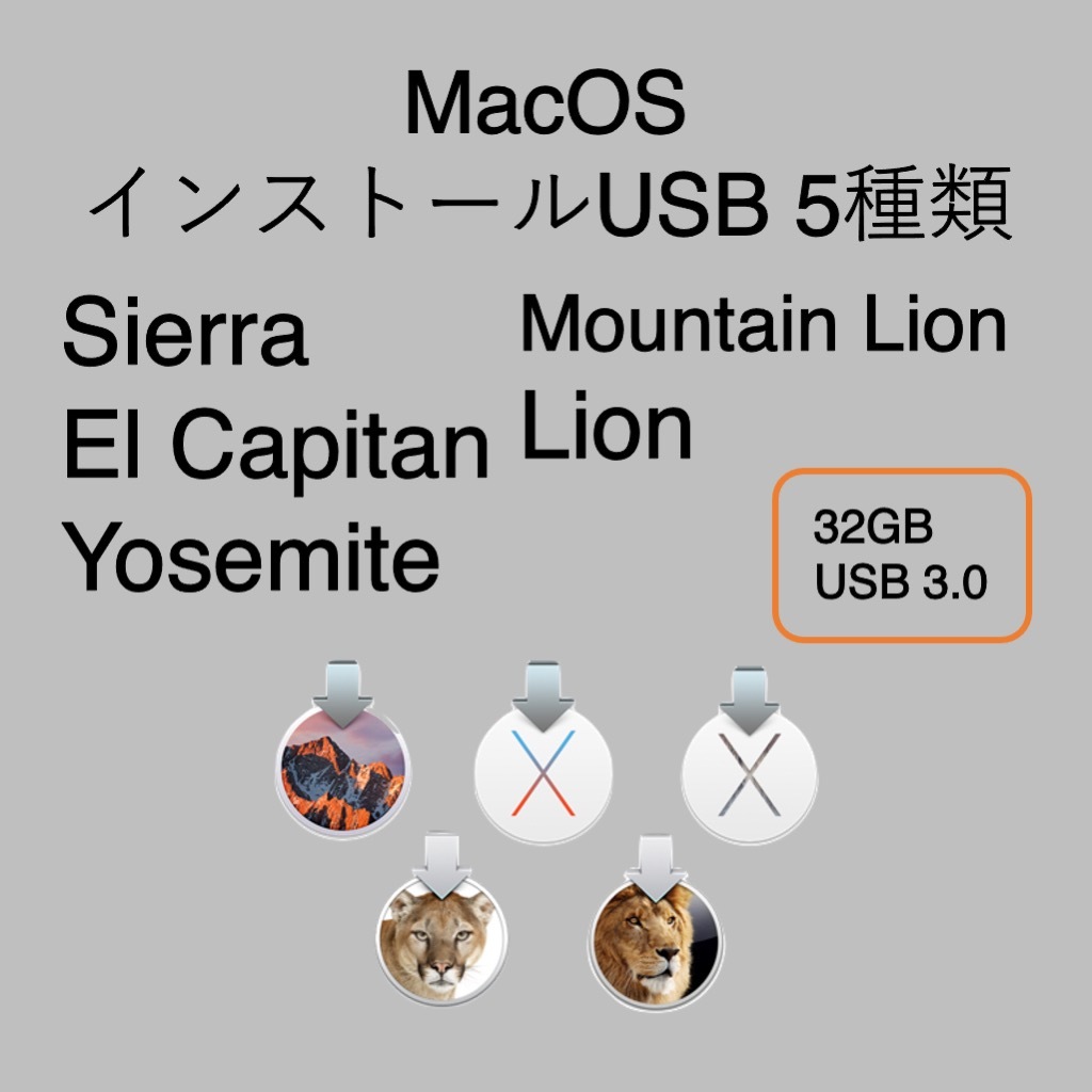 MacOS インストール用USB 5種類 （Sierra,El Capitan,Yosemite,Mountain Lion,Lion）の画像1