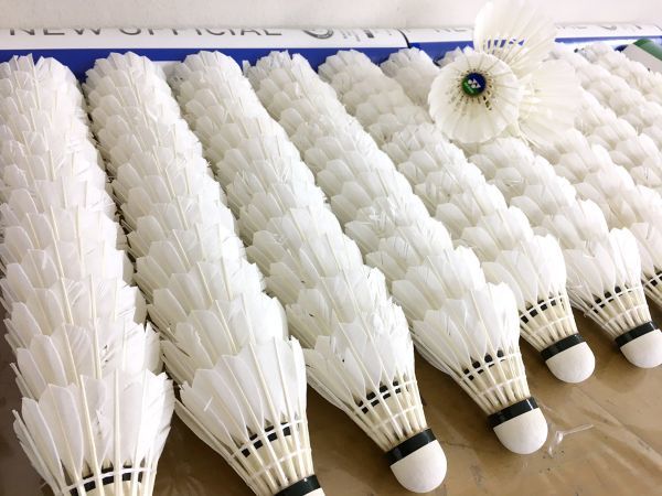 販売新品 【送料無料】バドミントン中古シャトル YONEXニュー