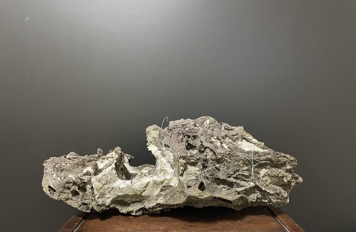Yahoo!オークション - 17.5kg 竜眼石 龍岩石 龍眼石 リュウガン Yahoo!オークション - 17.5kg 竜眼石 龍岩石 龍眼石 リュウガン