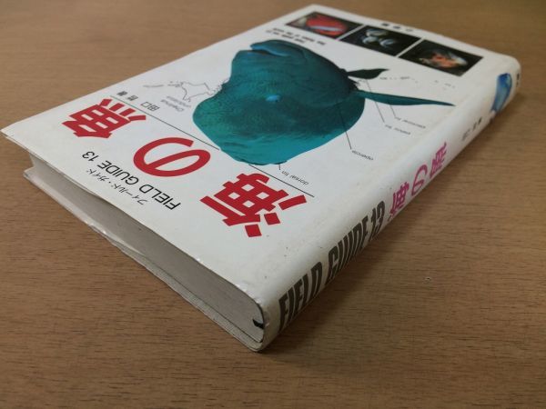 ●P043●海の魚●田口哲●フィールドガイド●図鑑●北海道日本海インド洋紅海カリブ海西部太平洋温帯域サンゴ礁域●小学館_画像2