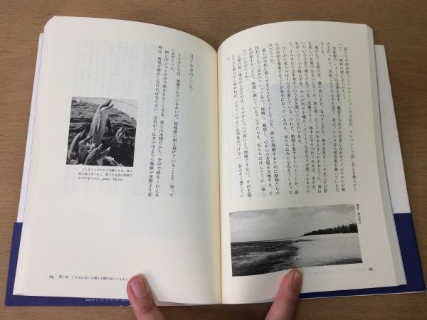 ●P041●イルカと、海へ還る日●ジャックマイヨール関邦博●深海ペルー高地実験素潜りフリーダイビング映画グランブルー●講談社●即決_画像6