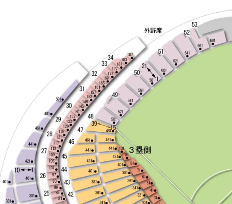 2列目 3/30(金) 巨人－阪神 レフト外野指定ビジター応援席 2or4枚