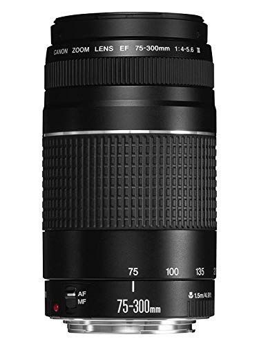 Canon EFレンズ EF75-300mm F4-5.6 IIIズームレンズ 望遠 並行輸入品