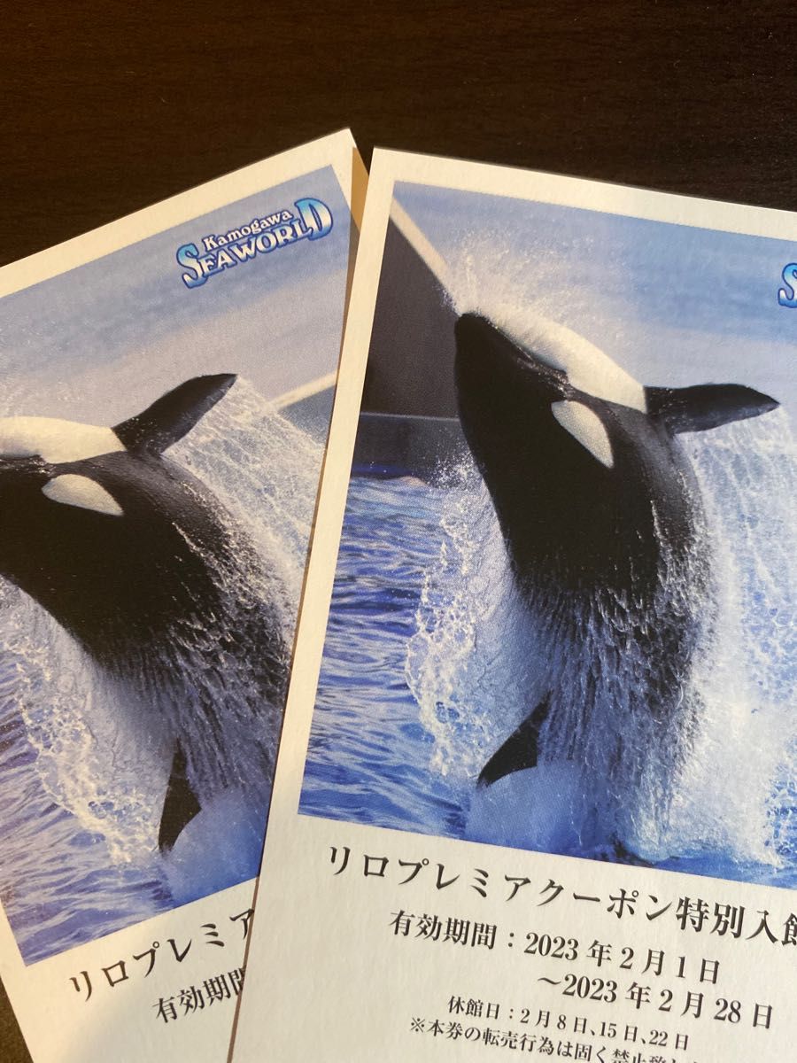 鴨川シーワールド チケット 入館割引券 - 水族館