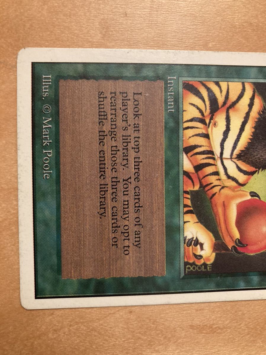 2ED natural selection 1枚　アンリミテッド　mtg 再録禁止　オールドスクール_画像3