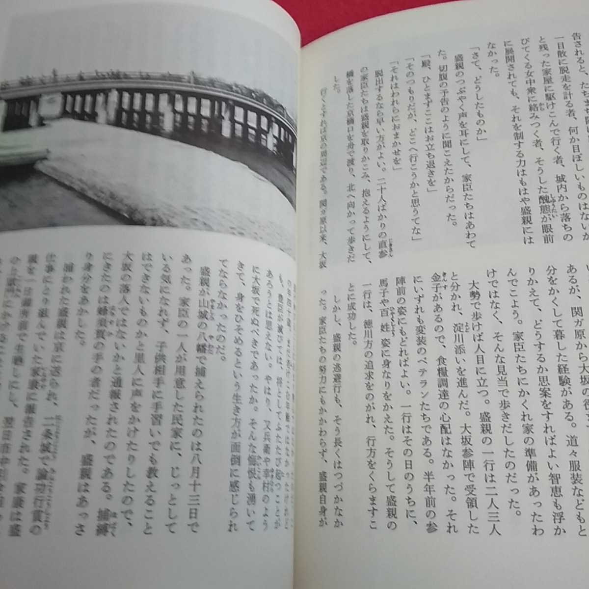 h-453 大阪城 物語・日本の名城 江崎誠致 昭和56年11月10日初版発行 豊臣秀吉 徳川家康 真田幸村 成美堂出版※0_画像5