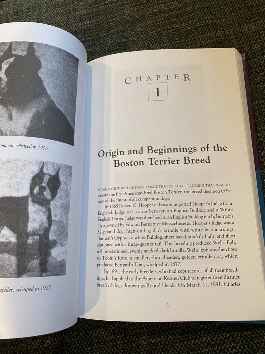 THE BOSTON TERRIER рис иностранная книга Boston терьер 