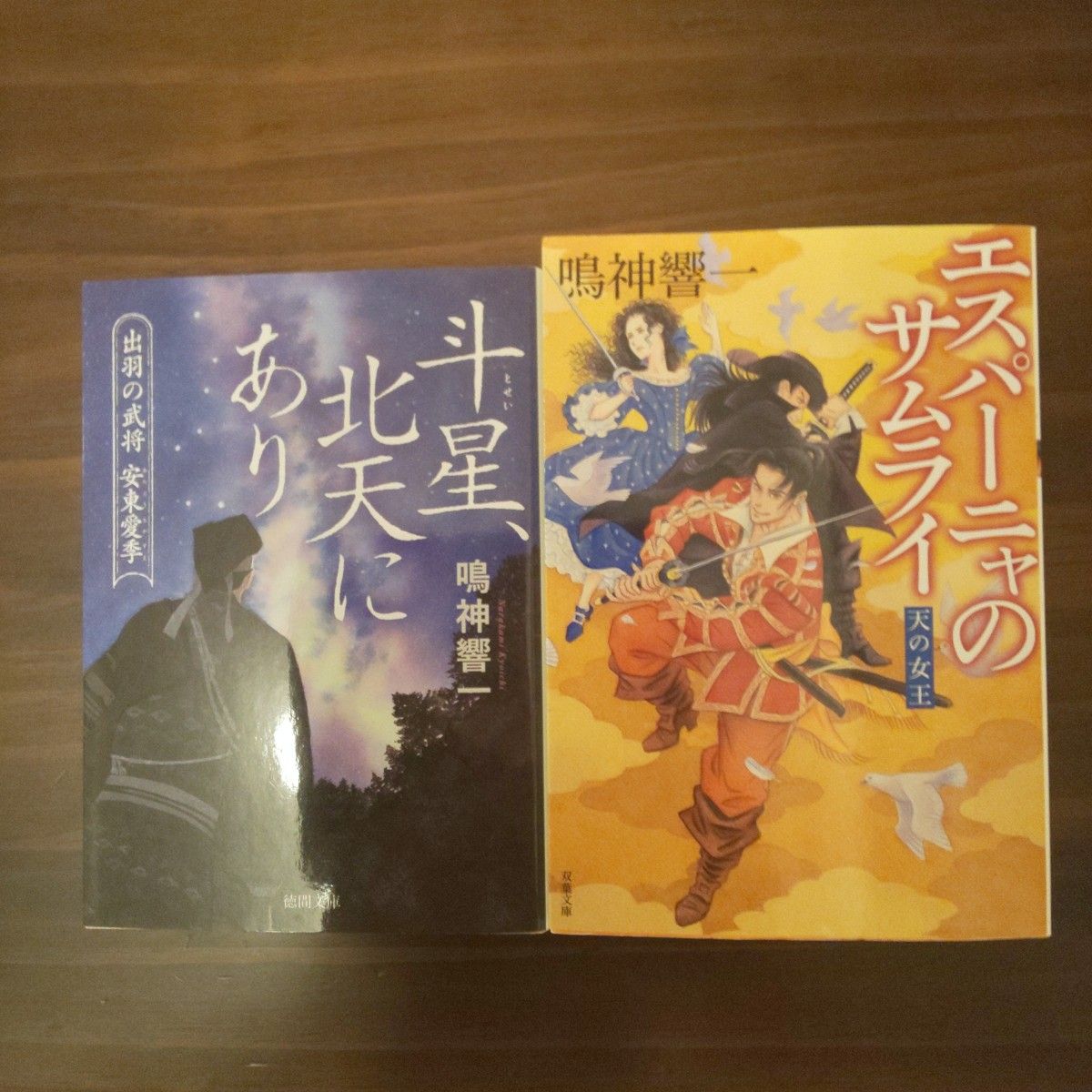 鳴神響一 エスパーニャのサムライ 天の女王、斗星、北天にあり 出羽の武将 安東愛季 ２冊セット