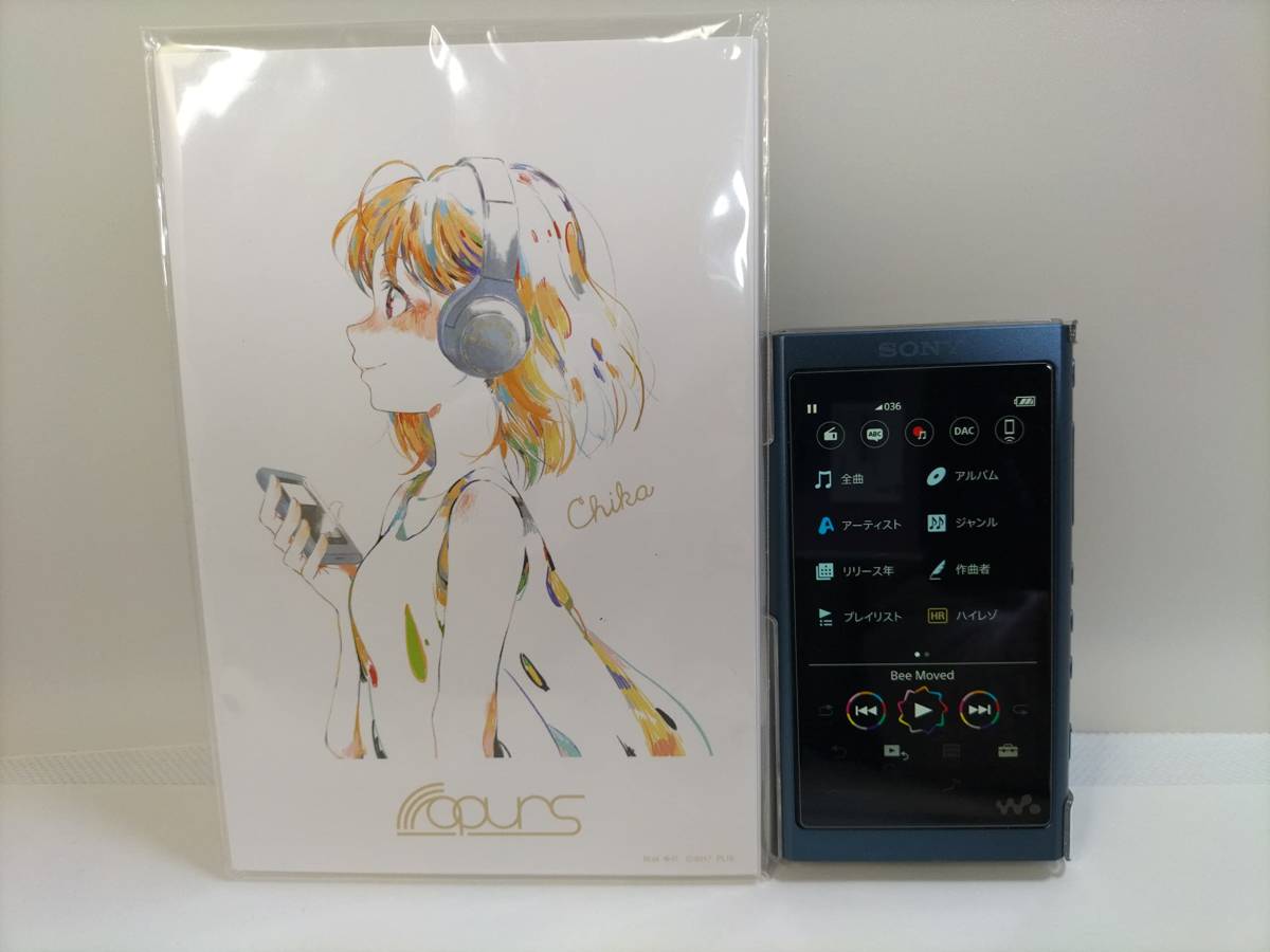 パケ無料】極希少レア 美品 ソニー(Sony) ウォークマン(WALKMAN) NW