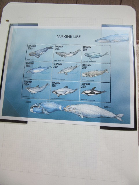 世界各国のクジラ（一部イルカ））を描いた切手10リーフ　3/3_画像2