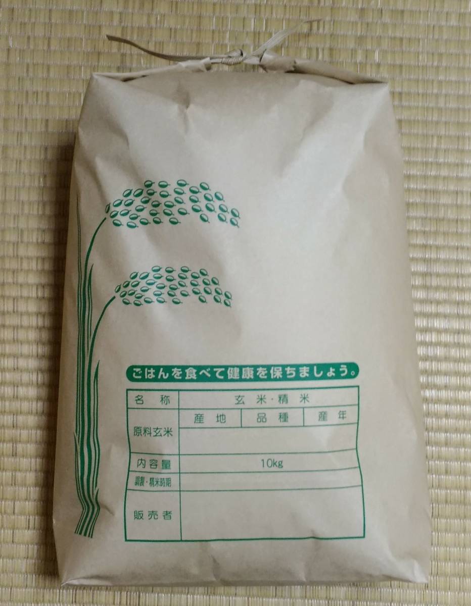 令和4年　島根県産　コシヒカリ　10kg　玄米_画像1