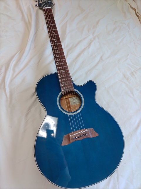 正規品販売! タカミネ Takamine Takamine NPTプリアンプ お気にいる