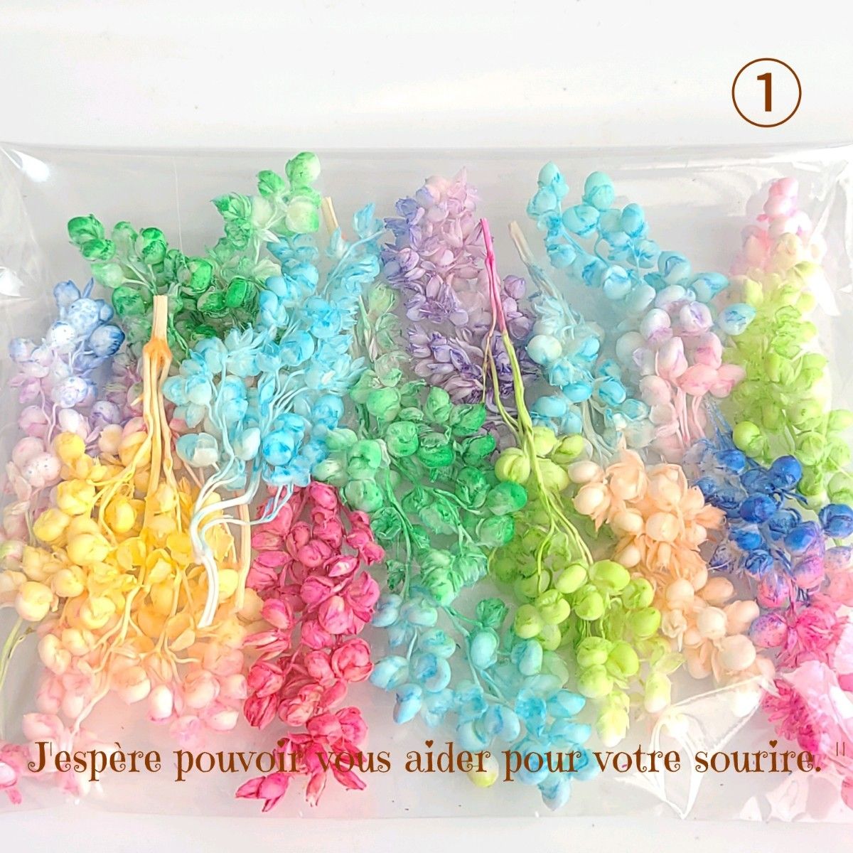 パイの実様専用ページ-