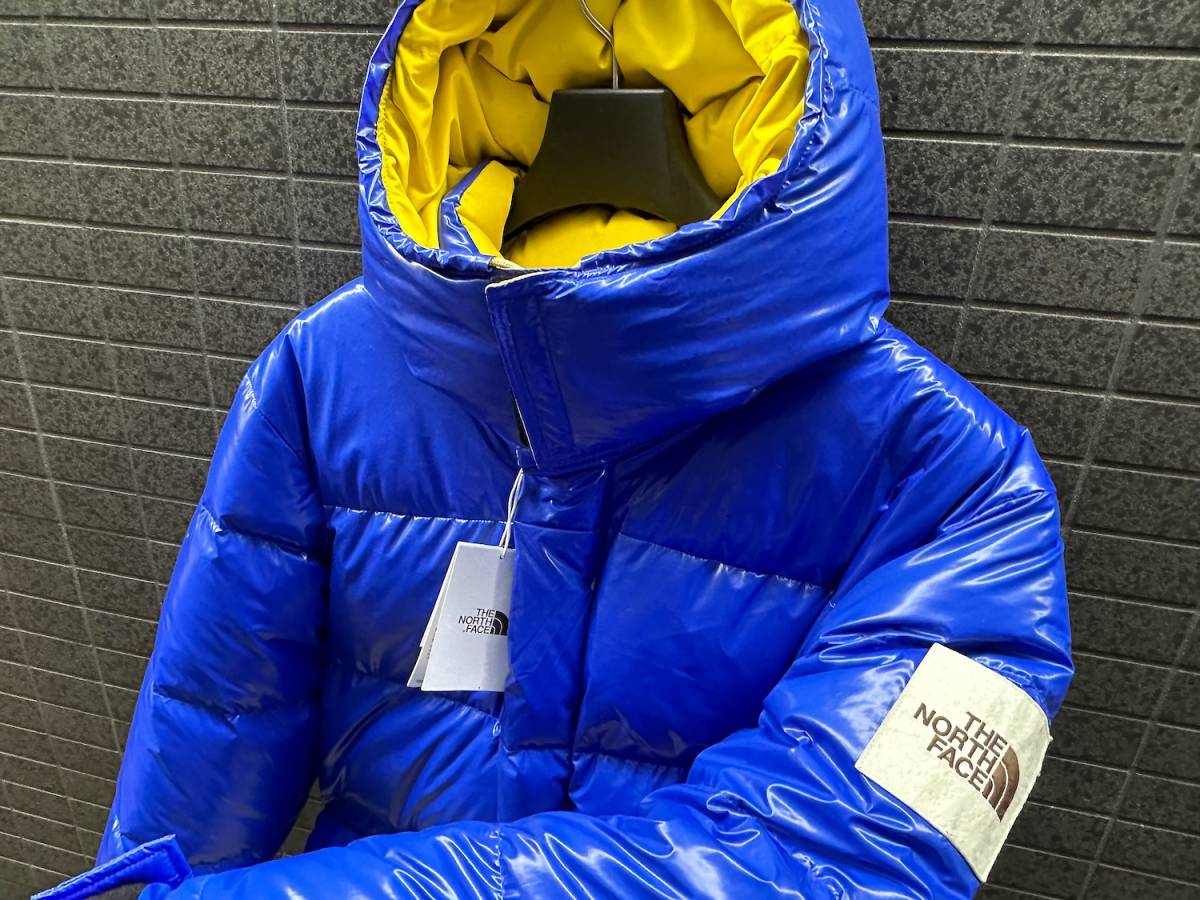 ◇モデル出品◇新品 XLサイズ ノースフェイス ブラウンレーベル フード