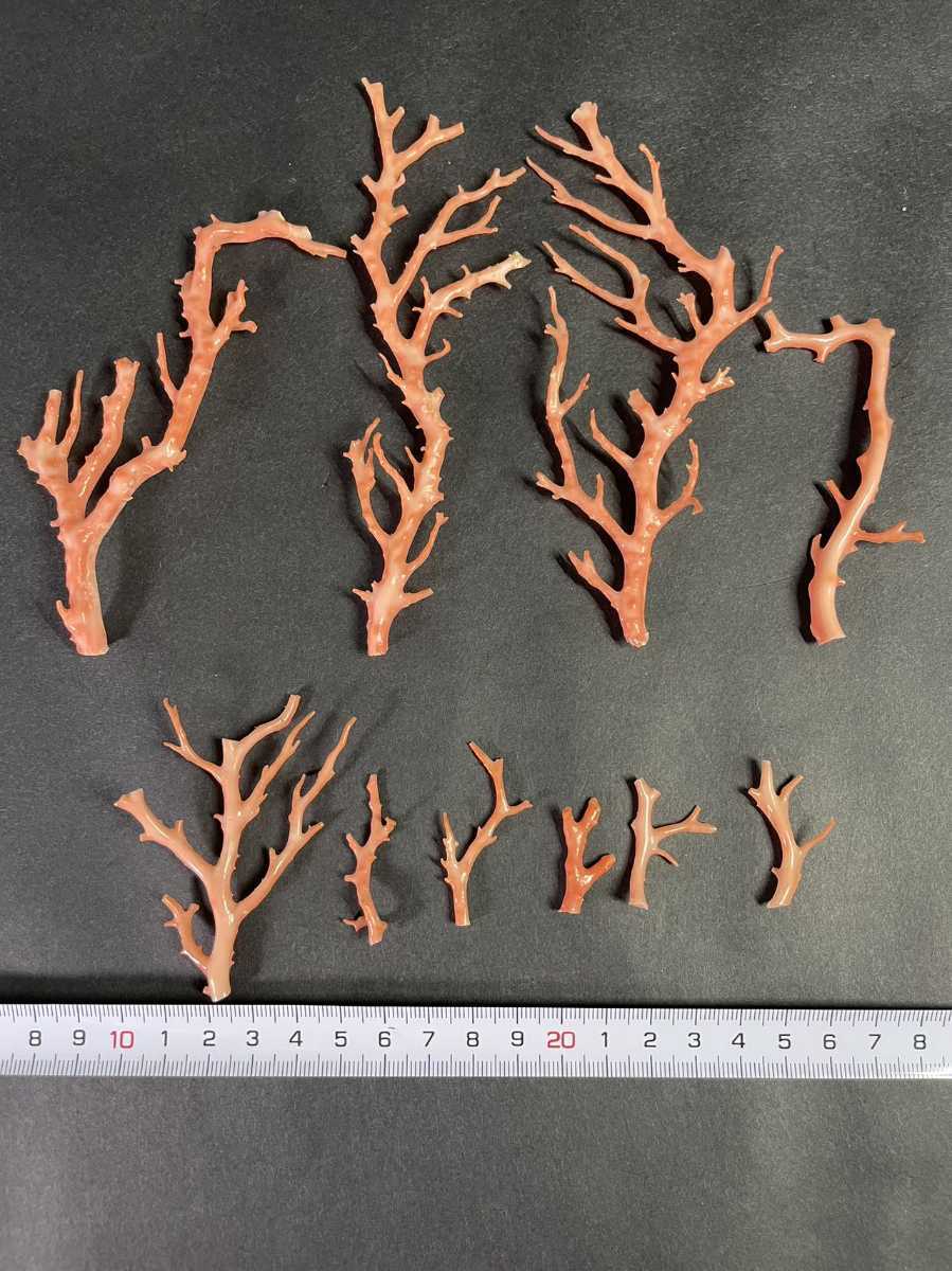 AS267 珊瑚置物モモ色原木まとめ売り重量約48g-其他–日本Yahoo!拍賣 
