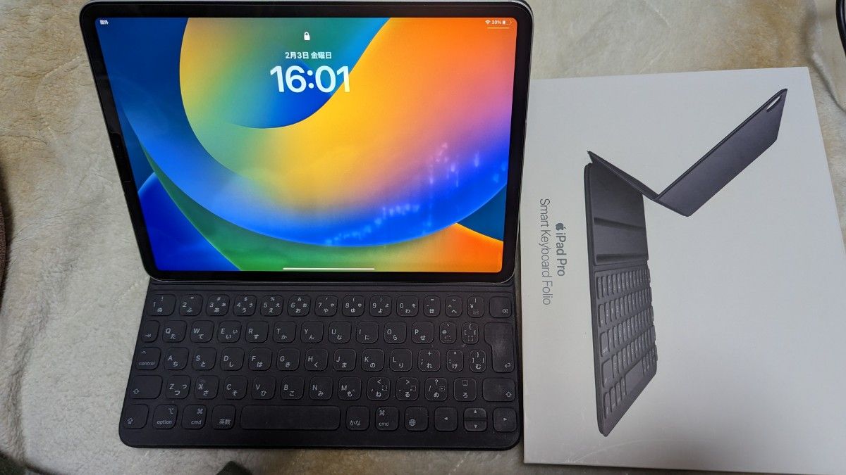 スタニングルアー iPad Pro 11インチ 第一世代 64GB ジャンク - 通販