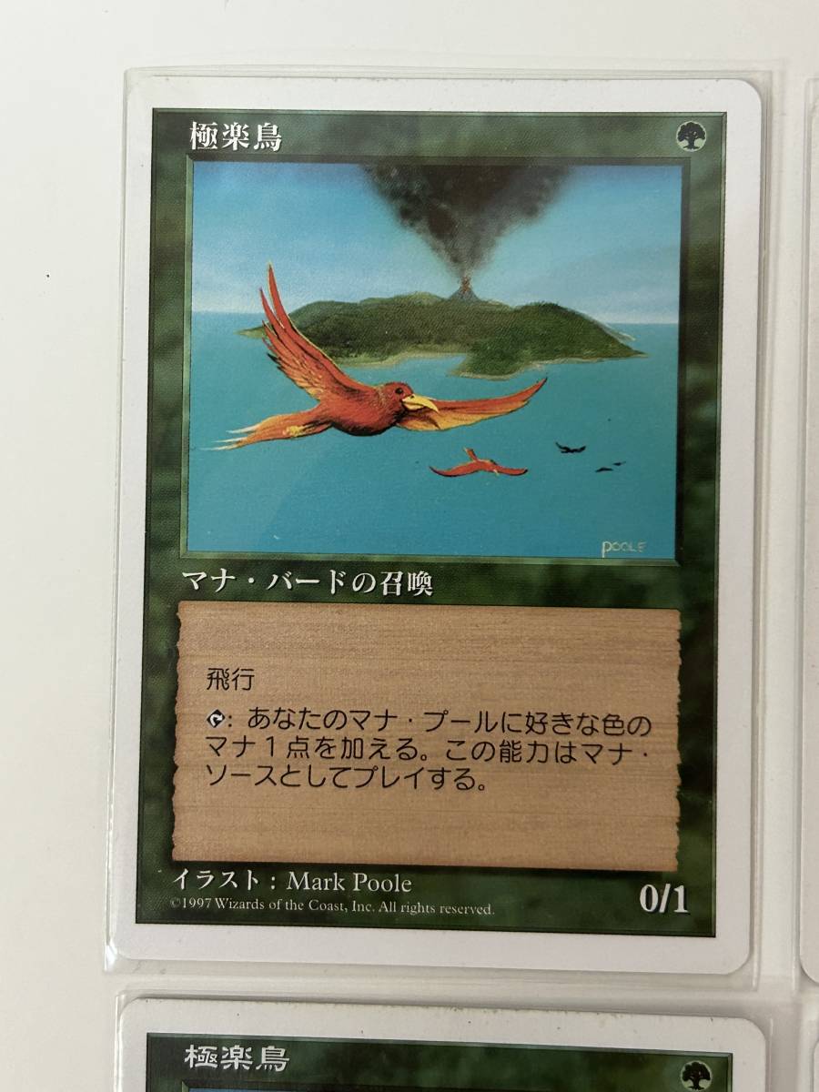 2022年春夏 極楽鳥 白枠 4枚セット マジックザギャザリング | terepin.com