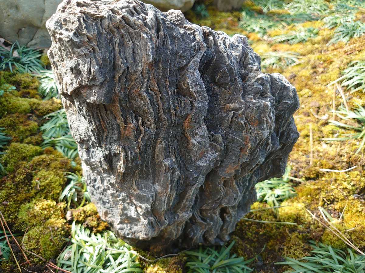  тысяч . камень 11kg.. камень двор камень сад камень суйсеки поддон камень 