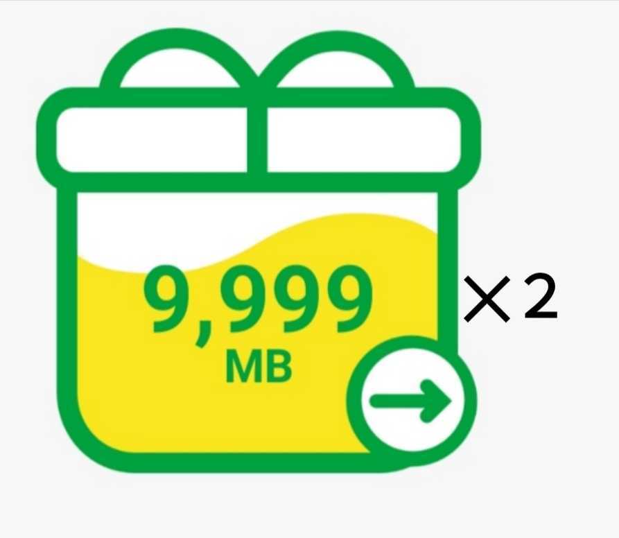 匿名配送 約20GB通信量分 （ 9999MB + 9999MB ）mineo パケットギフト_画像1