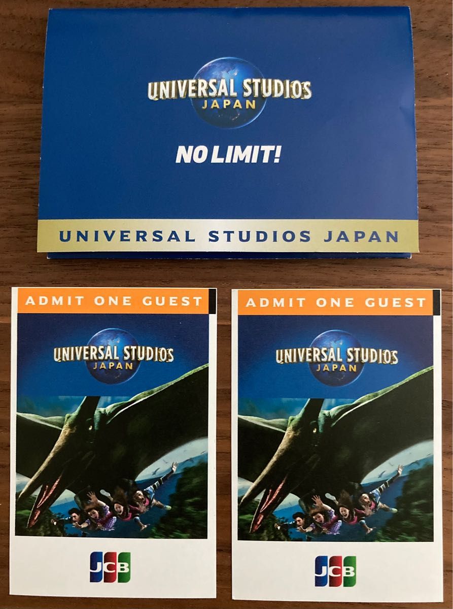 ユニバーサル スタジオ ジャパン USJ チケット 入場券 大人2名 2枚