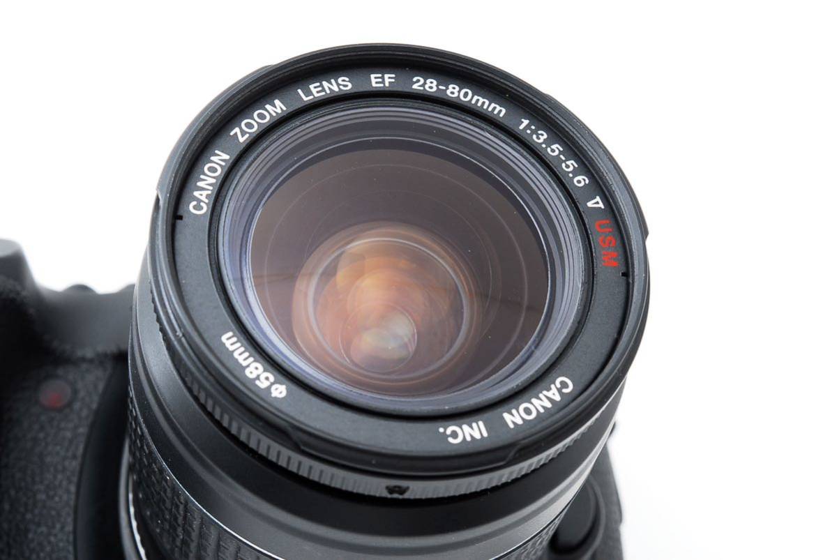デジタル一眼レフカメラ Canon EOS 6D Mark II ＋ Canon EF 28-80㎜1:3
