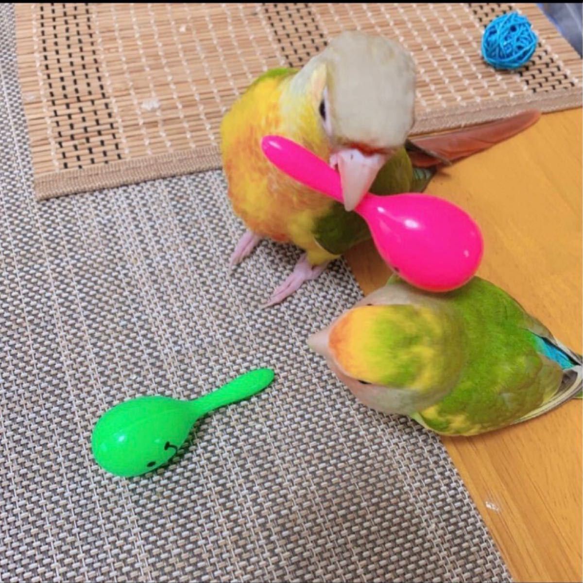 人気ブランドの新作 1個 インコ おもちゃ マラカス 小鳥の玩具 鳥用品 鳥グッズ バードトイ