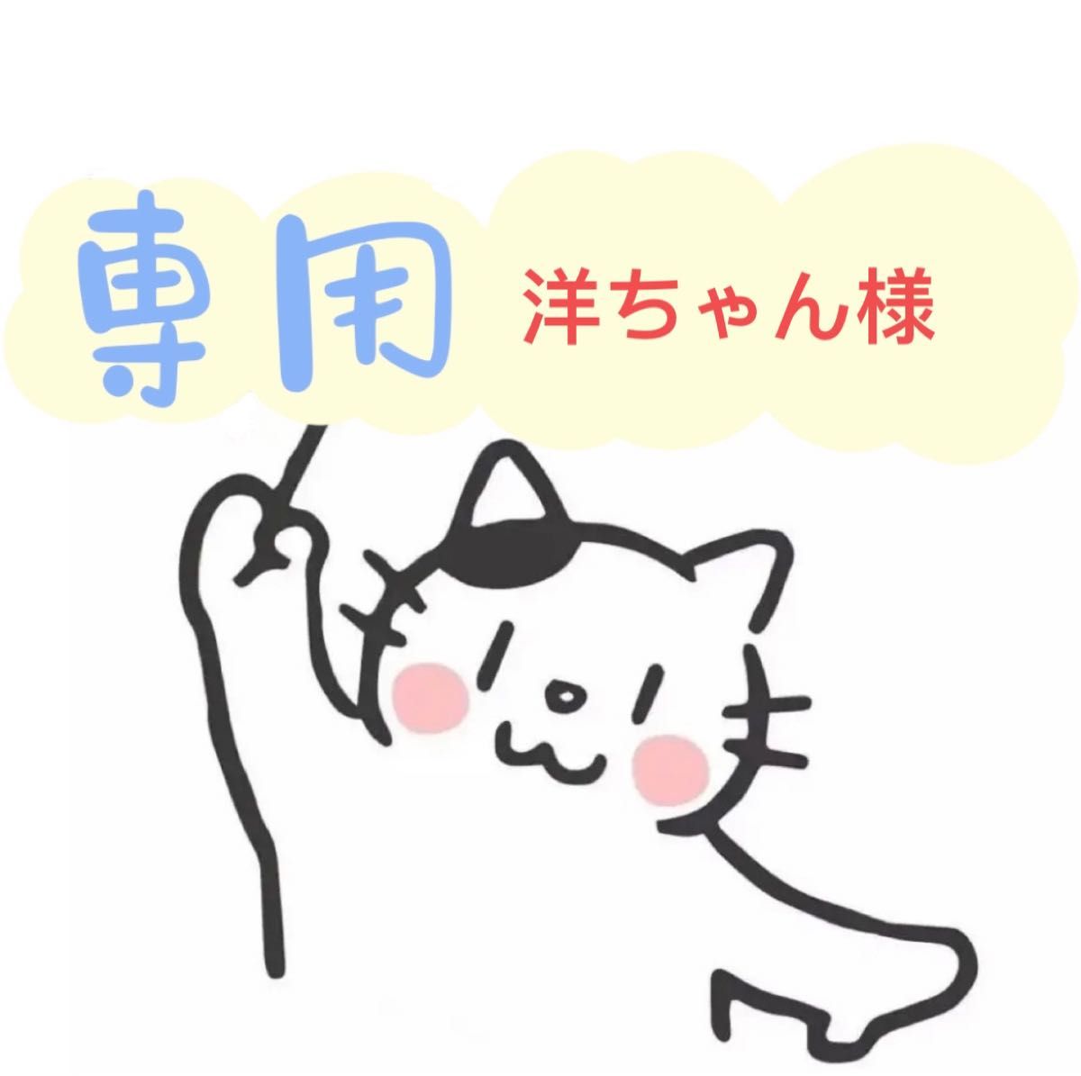 洋ちゃん様専用ページ|PayPayフリマ