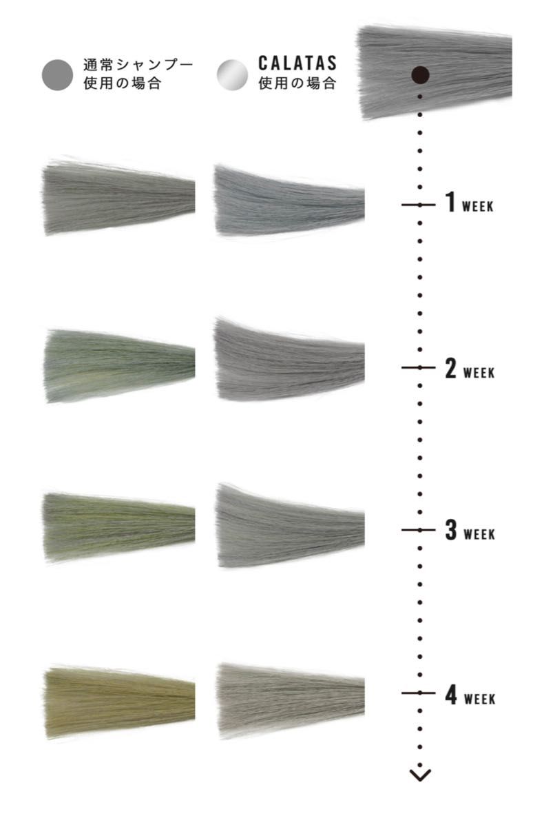 CARATAS カラタス　nullシャンプー&シルバーシャンプー、トリートメント
