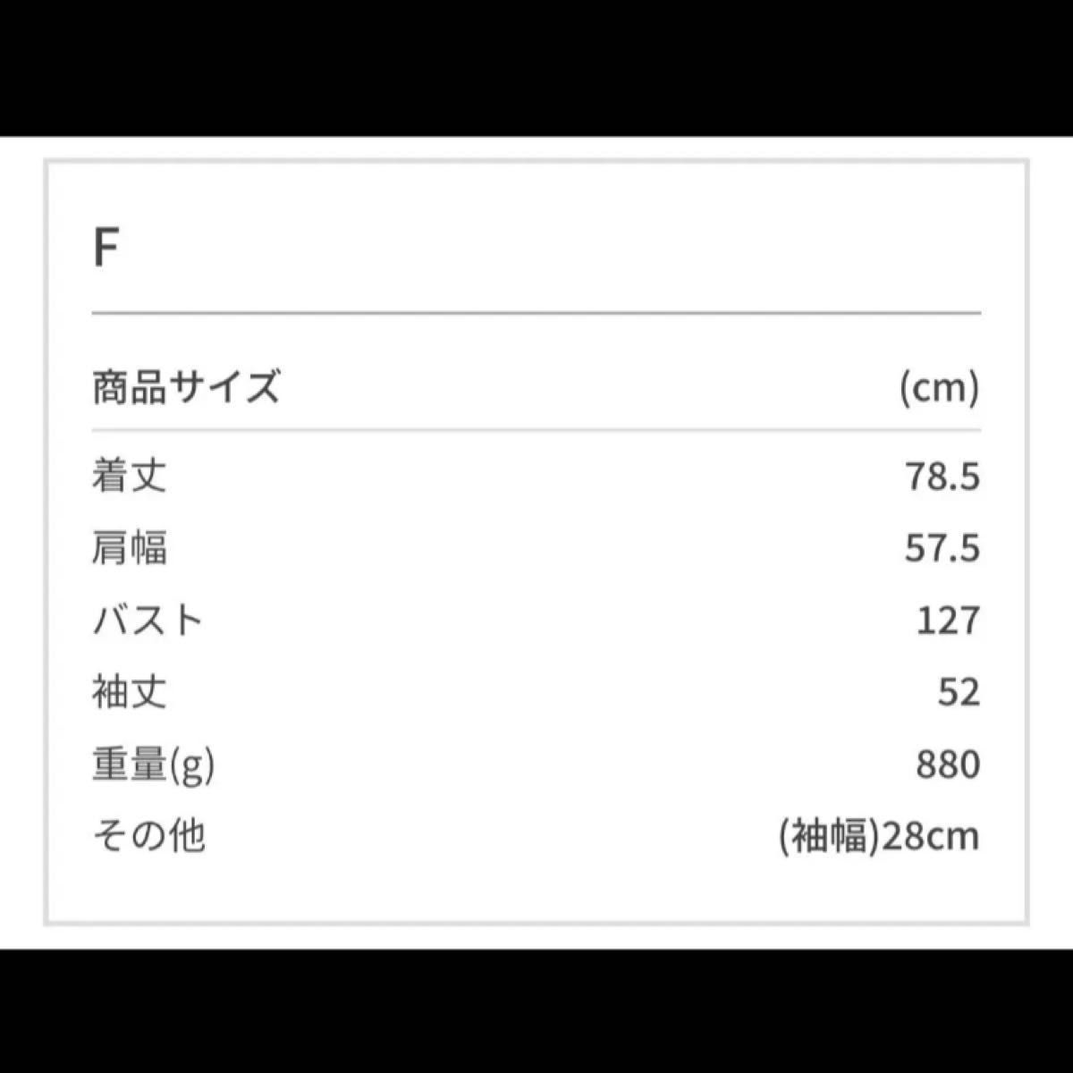 美品 アダムエロペ WEB限定 テントシルエットダウンライク中綿 美品 アダムエロペ WEB限定 テントシルエットダウンライク中綿