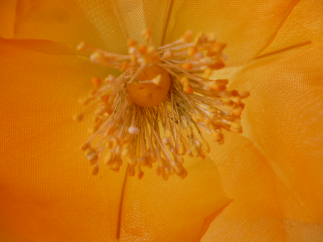  искусственный цветок # мак #5шт.@, orange цвет . весна казаться блестящий .