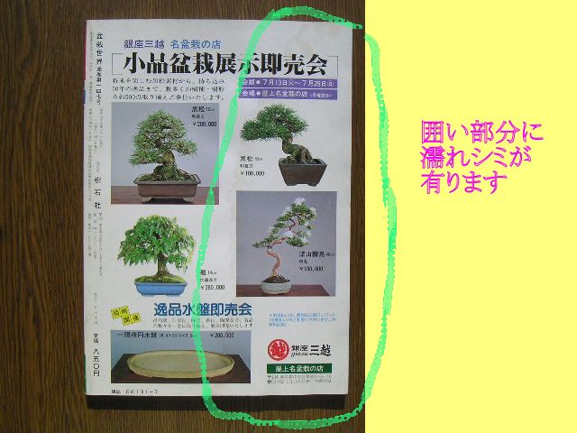 ∞　盆栽世界　1982年7月号　№１４７　樹石社、刊、刊　●濡れシミ跡有り・“ジャンク出品”です●