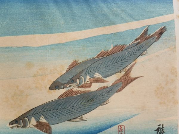 数量限定!特売 広重木版画(魚ずくし) pandora.com.br