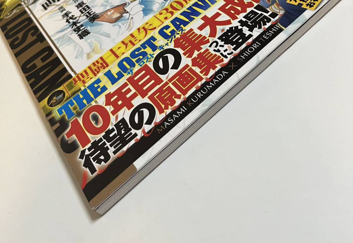 Bibian 比比昂- 手代木史織聖闘士星矢冥王神話画集イラスト入り Bibian 比比昂- 手代木史織聖闘士星矢冥王神話画集イラスト入り