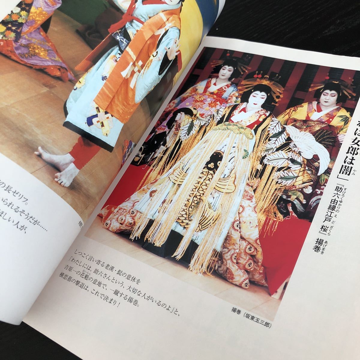 つ90 日本の伝統芸能 2004年4月1日発行 平成16年 歌舞伎 日本舞踊 芸者 文楽 狂言 NHKシリーズ 歴史 舞台 京都 芝居_画像4