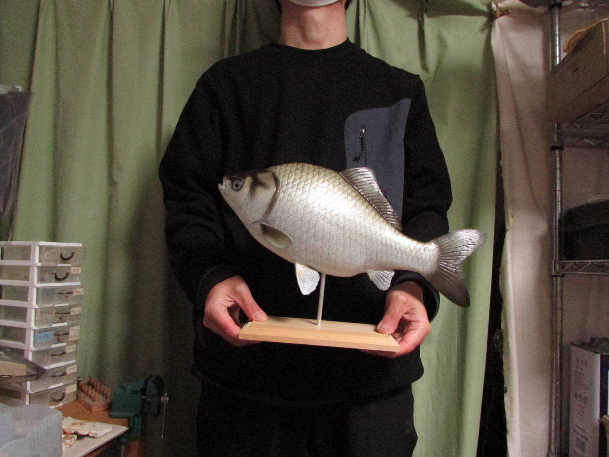 ハンドメイド 手作り 38cmヘラブナ 鮒 魚模型 フィギュア ハンドメイド 手作り 38cmヘラブナ 鮒 魚模型 フィギュア