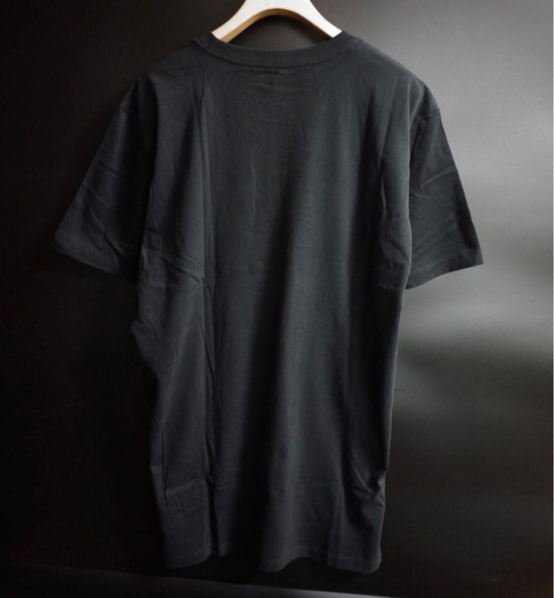 【タグ付き新品】ノースフェイス 海外限定 半袖Tシャツ ビッグロゴ S/S HALF DOME TEE