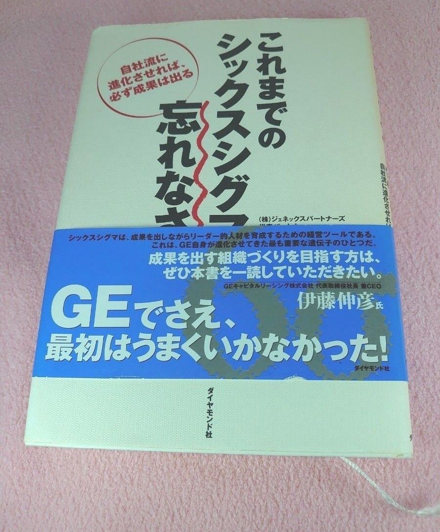 これまでのシックスシグマは忘れなさい　自社流に進化させれば、必ず成果は出る 真木和俊／著