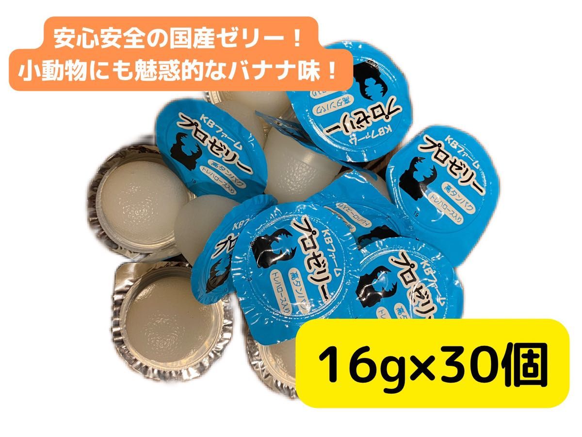 昆虫ゼリー プロゼリー50 クワガタ・カブトムシ・ハムスター・モモンガ