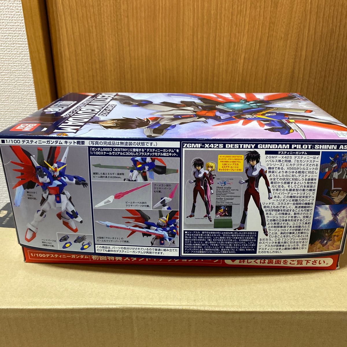 デスティニーガンダム(1/100 ガンダムSデスティニー08) 機動戦士 デスティニーガンダム(1/100 ガンダムSデスティニー08) 機動戦士
